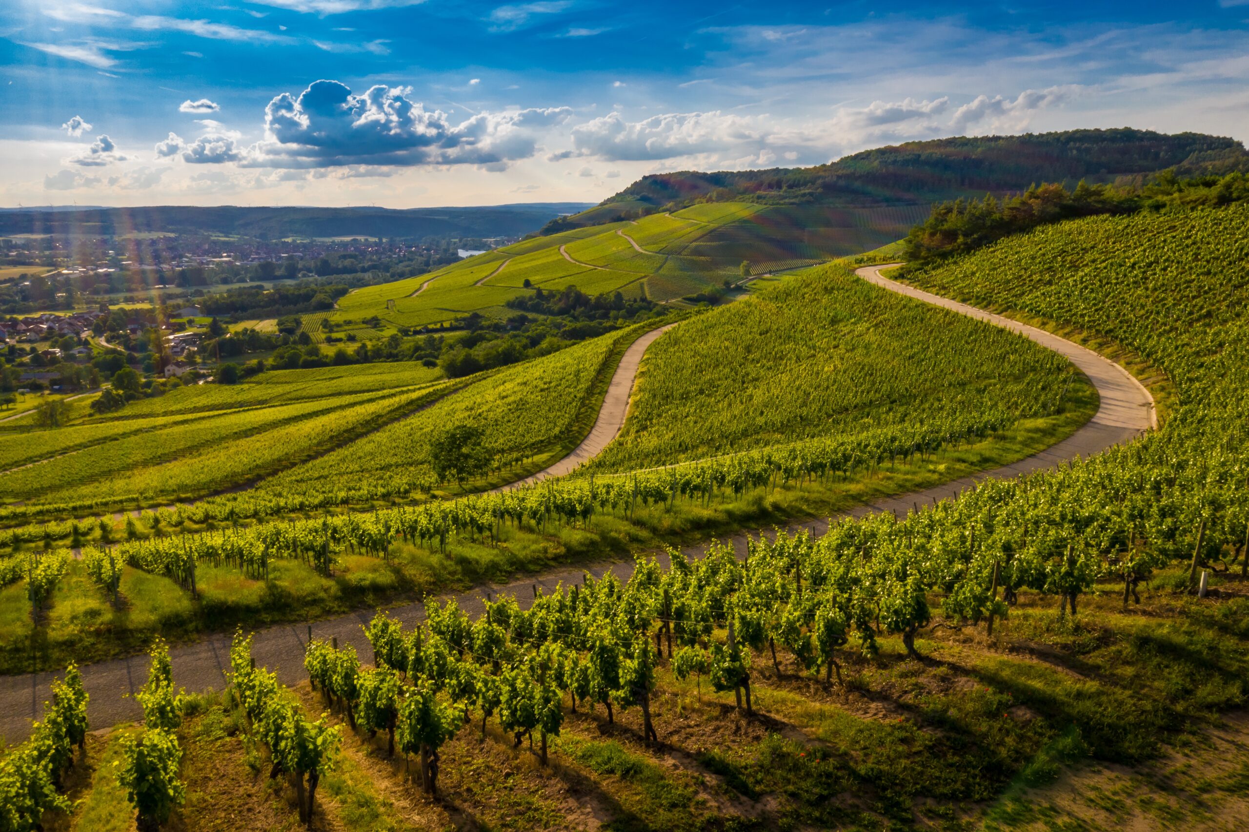 route-vignes
